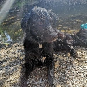 Meet your Posher, Katie-sue